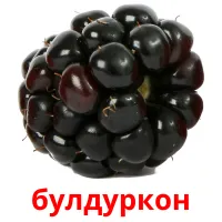 булдуркон bildkort för barn