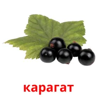 карагат bildkort för barn