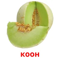 коон bildkort för barn