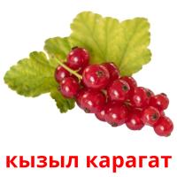 кызыл карагат Tarjetas didacticas