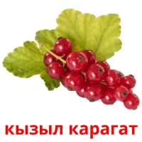 кызыл карагат bildkort för barn
