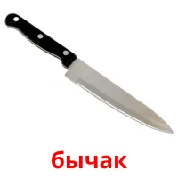 бычак picture flashcards