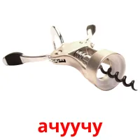 ачуучу picture flashcards