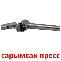 сарымсак пресс picture flashcards