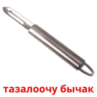тазалоочу бычак picture flashcards