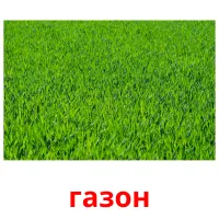 газон cartes de vocabulaire