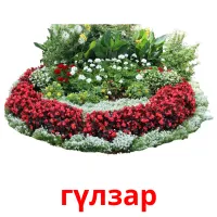 гүлзар cartes de vocabulaire