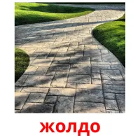 жолдо cartes de vocabulaire