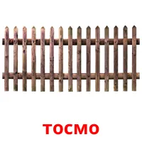 тосмо cartes de vocabulaire