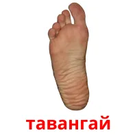 тавангай Tarjetas didacticas