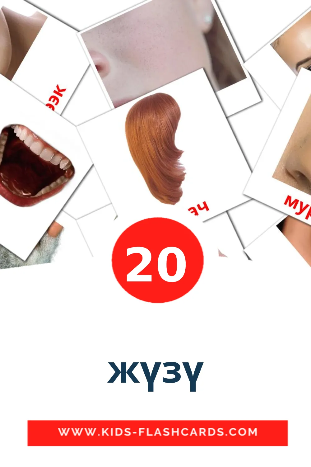 20 bildekort med жүзү for barnehagen på kirgisisk