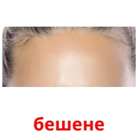бешене bildekort
