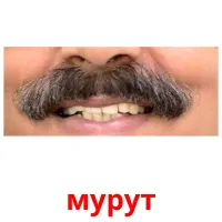 мурут bildekort