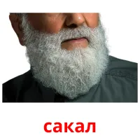 сакал bildekort