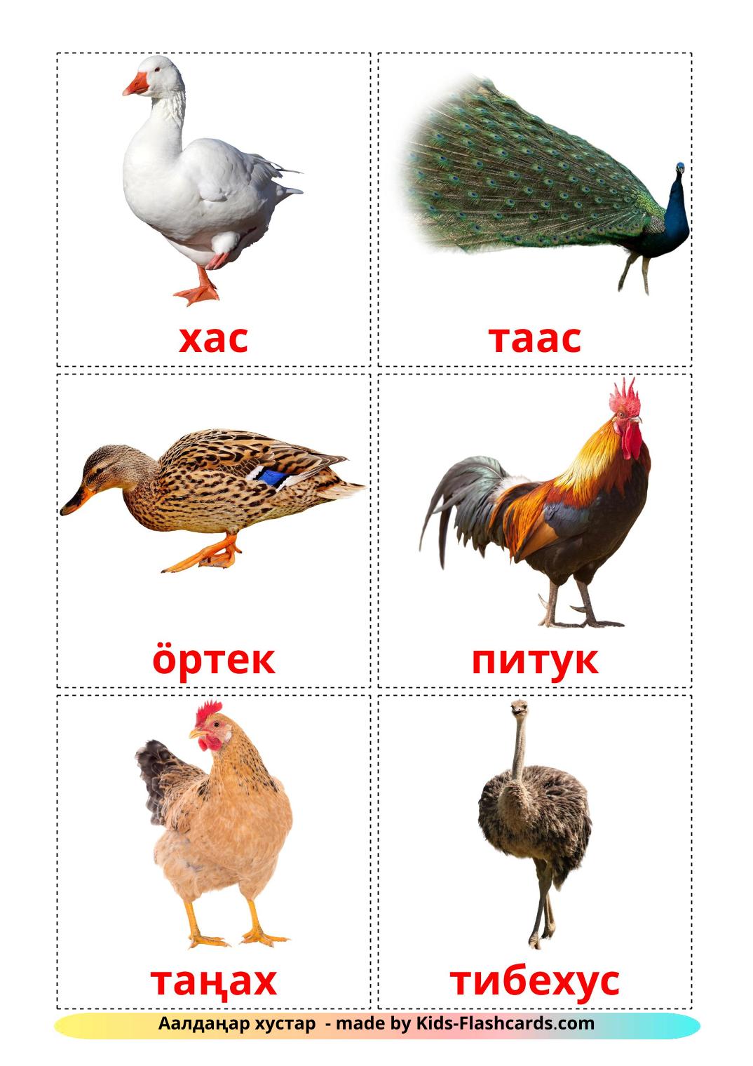 Les Oiseaux de Ferme - 11 Flashcards kirghize imprimables gratuitement