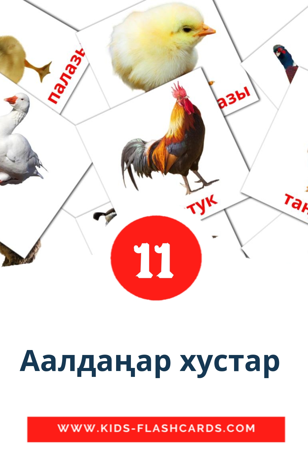 11 cartes illustrées de Аалдаңар хустар  pour la maternelle en kirghize