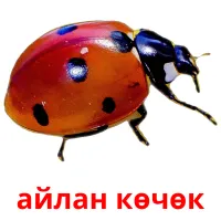 айлан көчөк bildekort