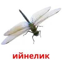 ийнелик bildekort