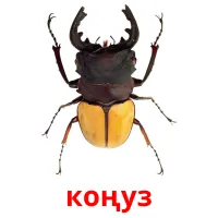 коңуз bildekort