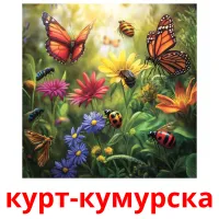 курт-кумурска picture flashcards