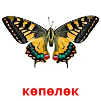 көпөлөк bildekort