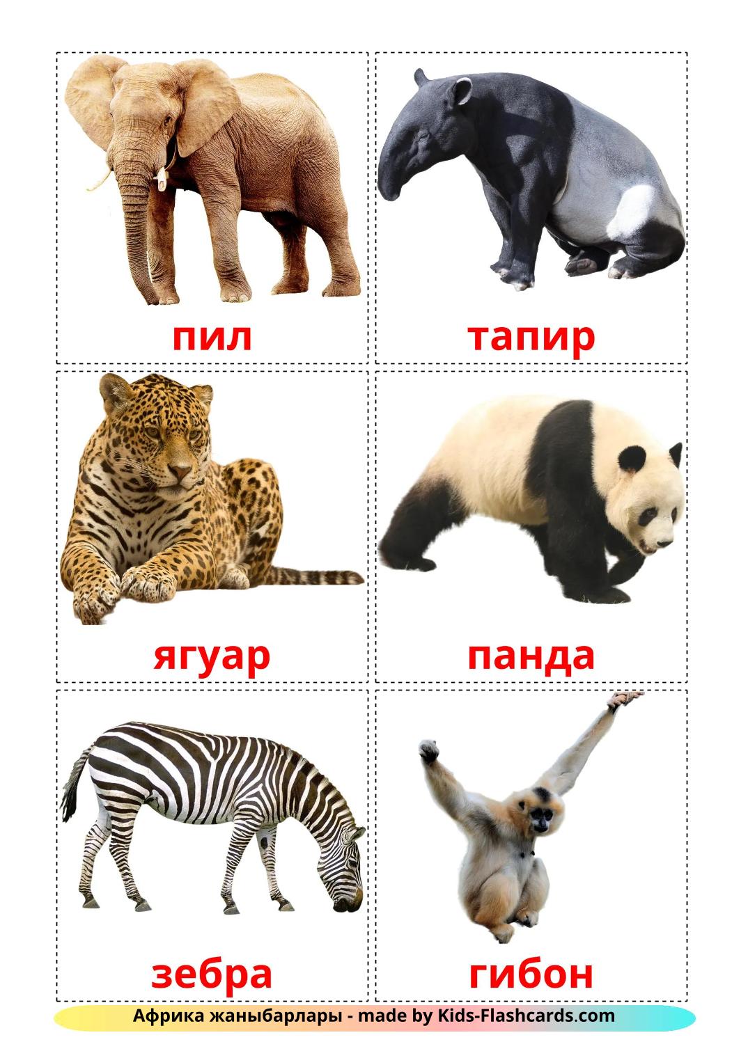 Jungle animals - 22 kostenlose, druckbare amharic Bildkarten 