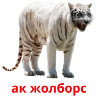 ак жолборс Bildkarten für Kinder