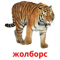 жолборс Bildkarten für Kinder