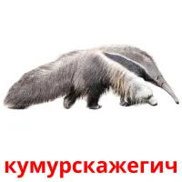 кумурскажегич Bildkarten für Kinder