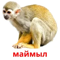 маймыл Bildkarten für Kinder
