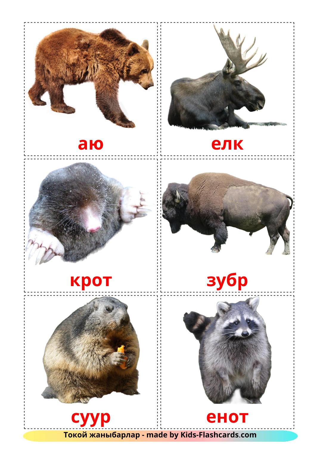Forest animals - 22 Free Printable kyrgyz Flashcards 