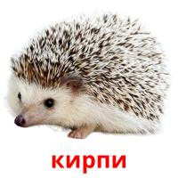 кирпи card for translate