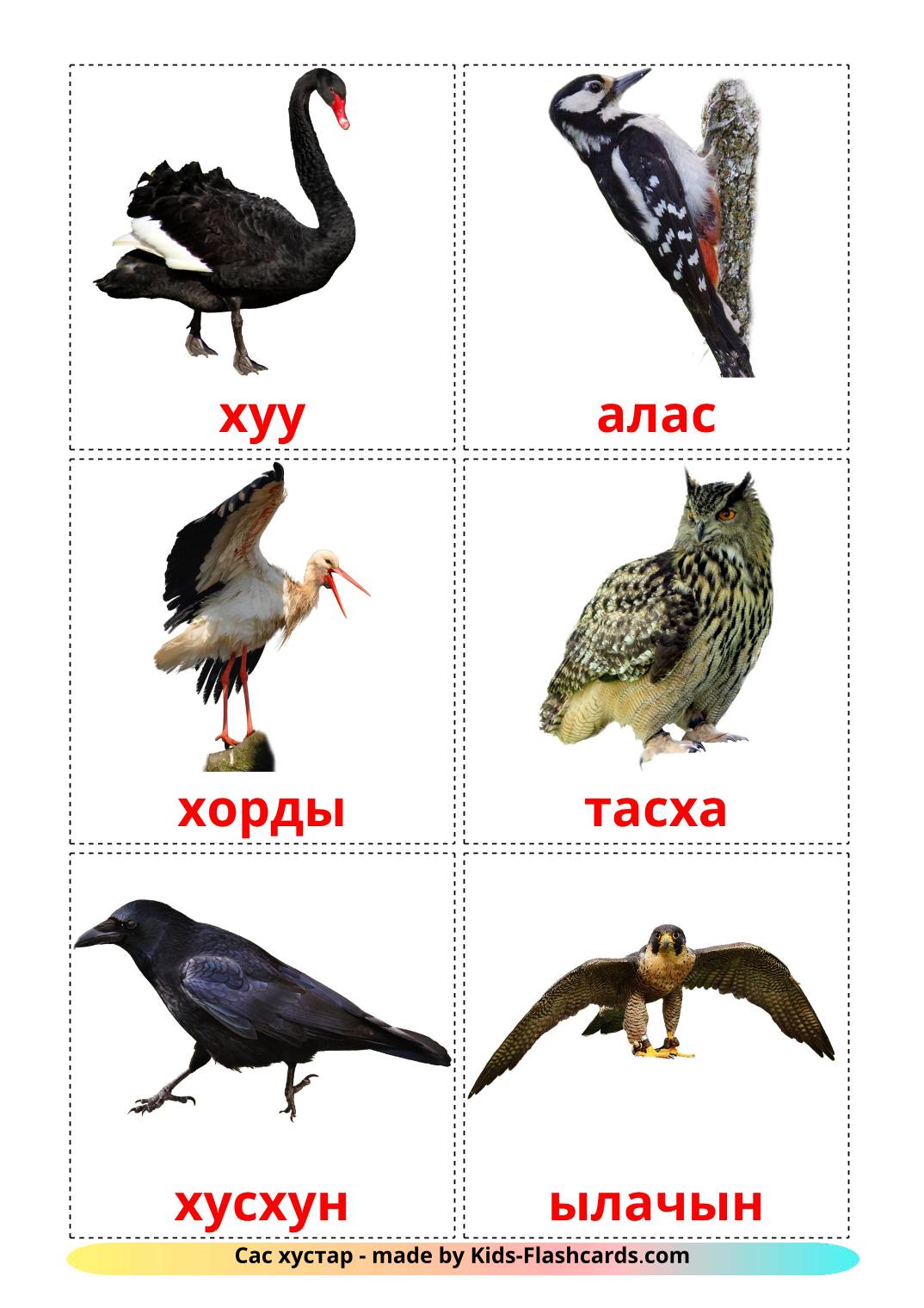 Les Oiseaux Sauvages - 17 Flashcards kirghize imprimables gratuitement
