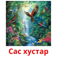 Сас хустар ansichtkaarten