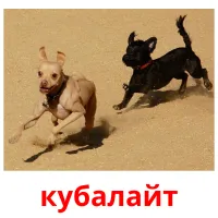 кубалайт picture flashcards
