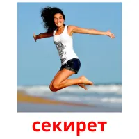 секирет picture flashcards