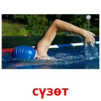 сүзөт picture flashcards