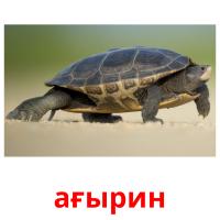 ағырин picture flashcards