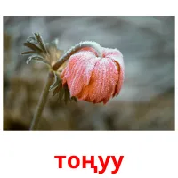 тоңуу bildkort för barn