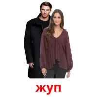 жуп flashcards illustrate