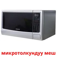 микротолкундуу меш picture flashcards