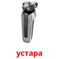 устара picture flashcards