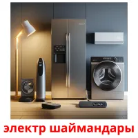 электр шаймандары picture flashcards
