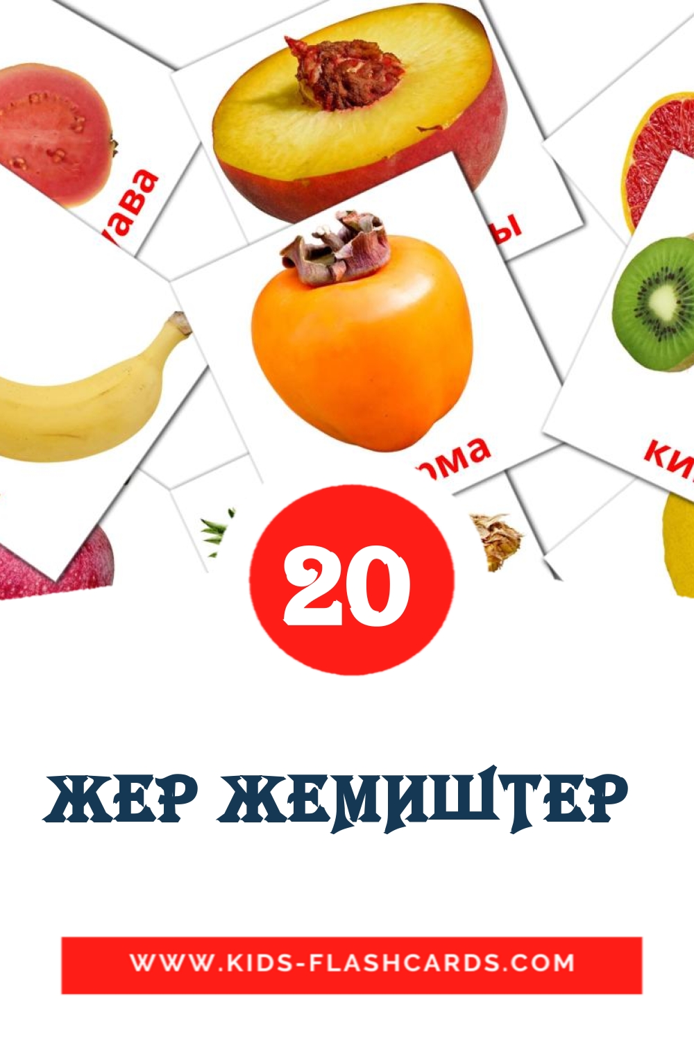 20 ЖЕР ЖЕМИШТЕР  Picture Cards for Kindergarden in kyrgyz