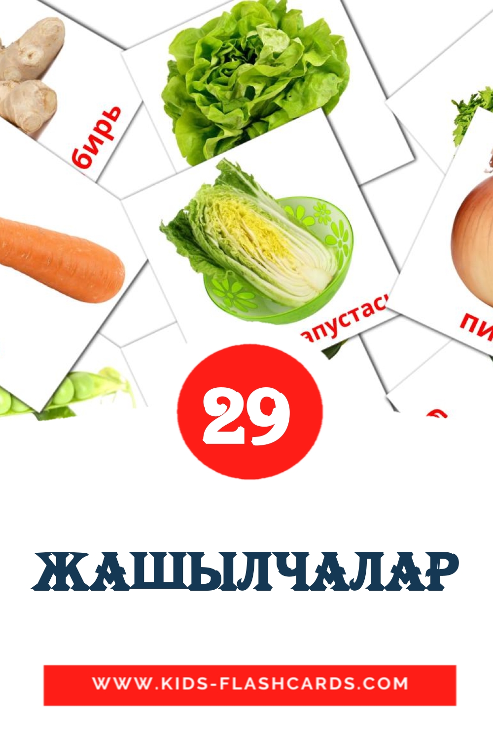 29 Жашылчалар Picture Cards for Kindergarden in kyrgyz