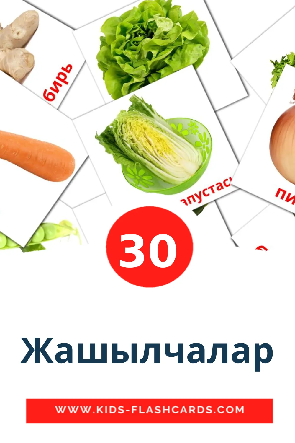 30 Жашылчалар Picture Cards for Kindergarden in kyrgyz