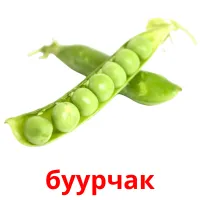 буурчак picture flashcards