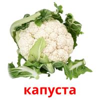 капуста picture flashcards