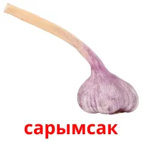 сарымсак picture flashcards