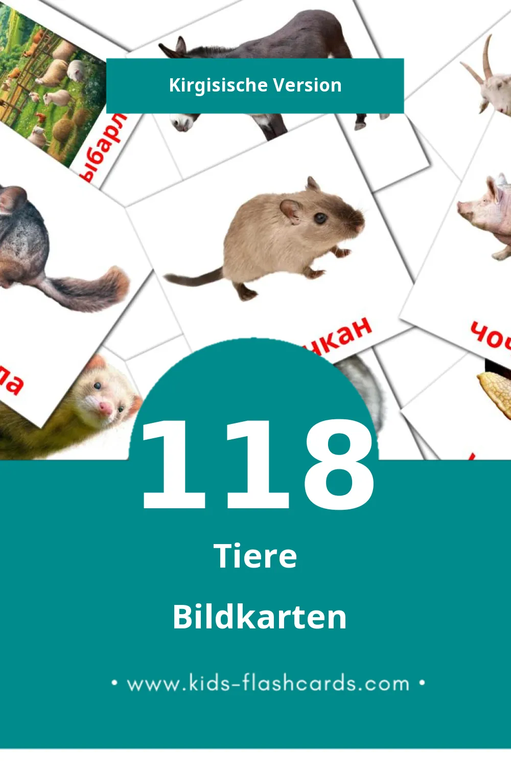 Visual Жаныбарлар Flashcards für Kleinkinder (118 Karten in Kirgisisch)